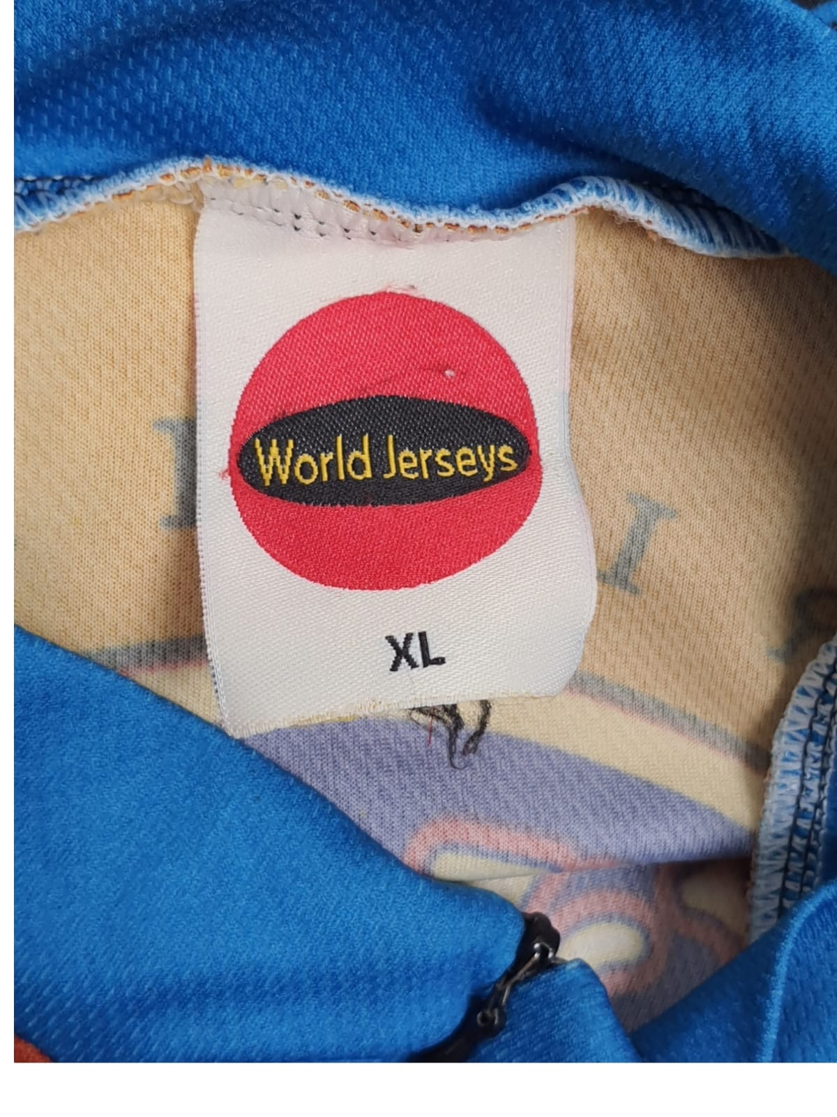 World Jersey Cycling Shirt