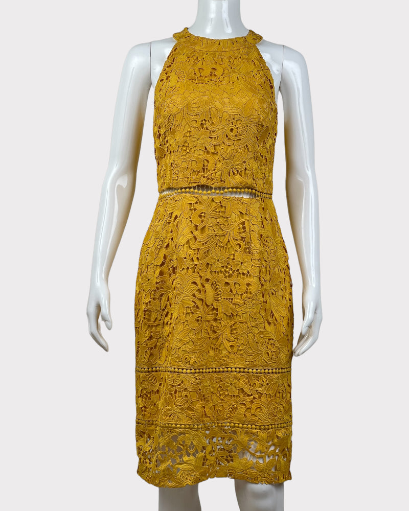 Antonio Melani Lace Sleeveless  Dress (S)