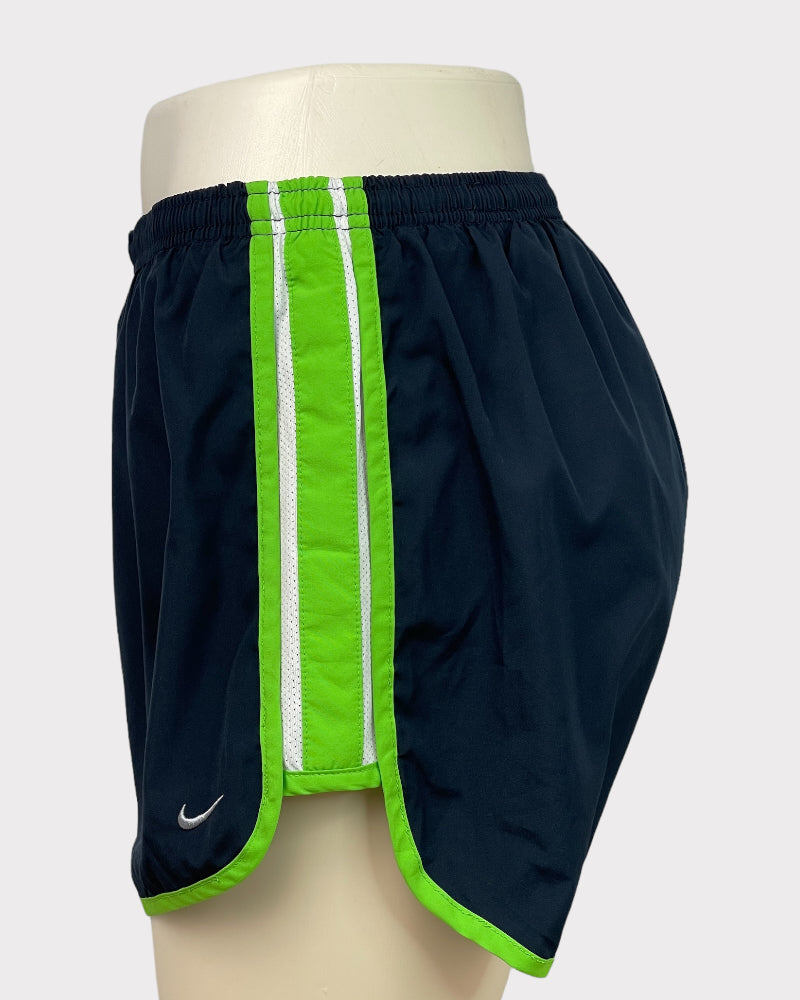 Nike Navy Blue And Green Dri-Fit Active Shorts (W30)