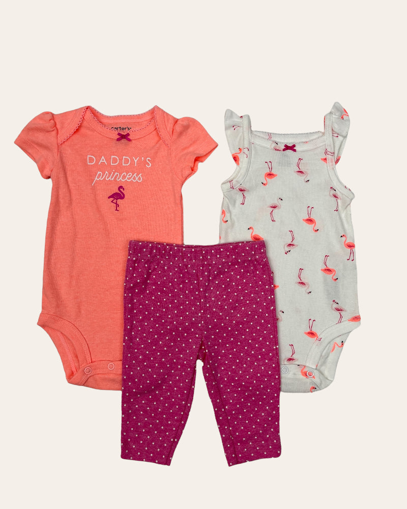 Carter’s Girls Pack Of 3 – 2 Bodysuits And 1 Pants (3M)